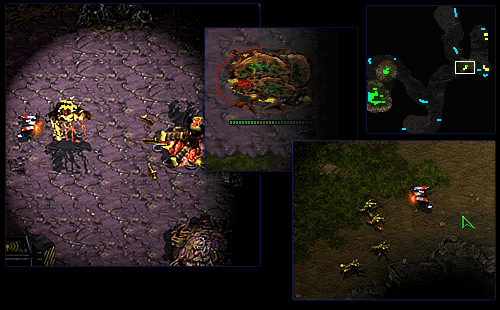 This is errr... the third image
