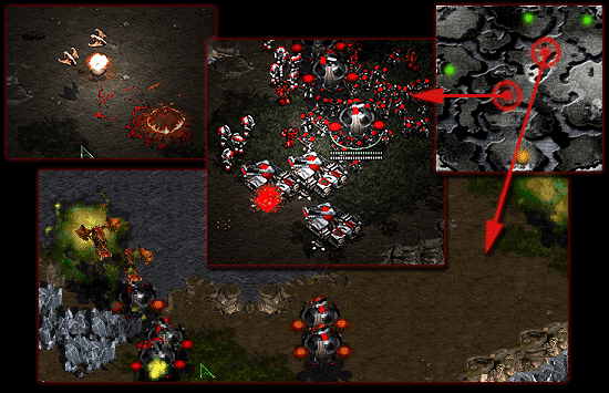 Zerg have air now