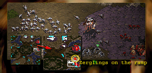 Ali Baba and 40 Zerglings...