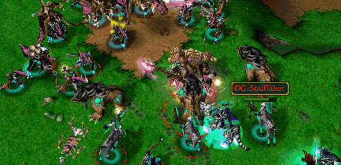 report11.gif