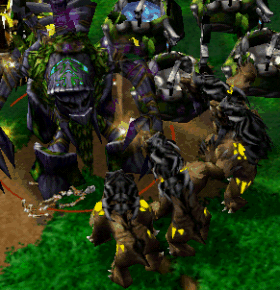 report23.gif
