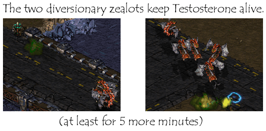 The zealots never really killed anything, though, so they were still sent to the Motel 6 in Aiur.