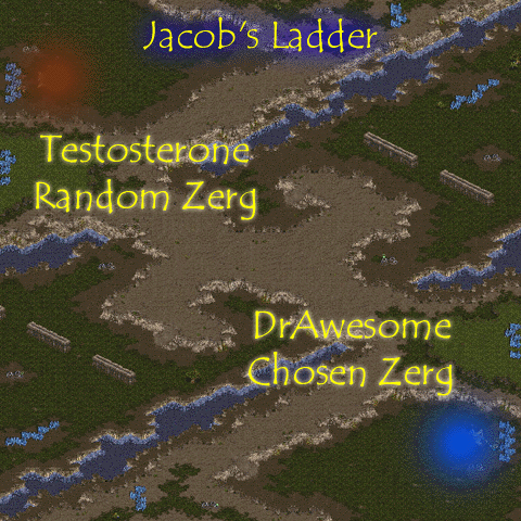 I don't see any ladders here.