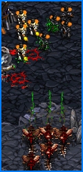 This battle was so brutal it didn't deserve a big pic =(