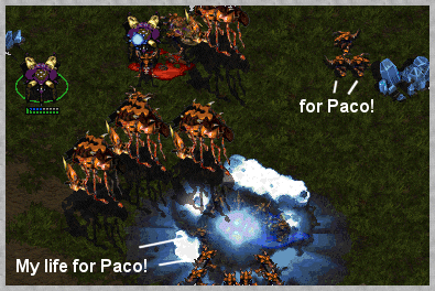 PACO!!!!