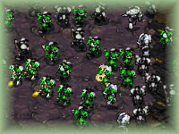 Fred’s last words: ‘Well at least we are camouflaged’