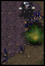 Die evil gaurds... oh wait, I shoulda targetted the defilers... asdf