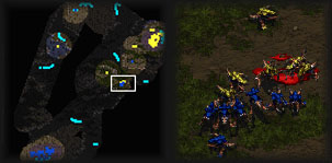 War, on a tiny scale