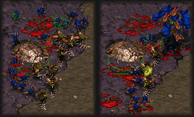 If you remember the zerglings, then muta/ling totally owns mass hydralisks