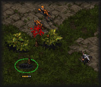 Clever zergling micro gained him FIVE WHOLE KILLS!   gg no re =]