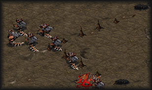 Dangerous occupation, being an alien devoted to serving the swarm.. average life expectancy is probably about 20 seconds