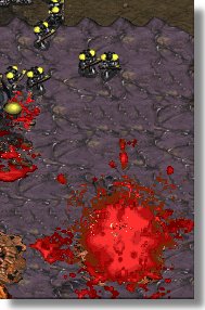 New zerg structure: Spontaneous Exploding Blood Sac (spills approximetly enough blood to fill the entire state of Oklahoma)