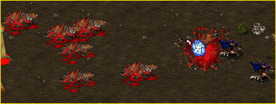 Trail of death