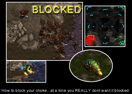 You can see SpaceFoo's overlord hovering next to the bridge to Silent-Death's natural, monitoring troop movement.