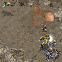 scout+zeal ownage