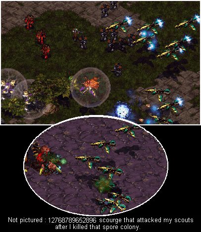 Scouts own except against 12768789652896 scourge...