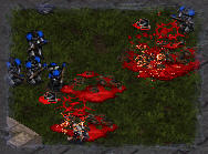 Warning: When cornered zerglings can be quite ferocious especially if they are on crack.