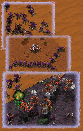 Paikmans troops pose for a group photo, zerglings bow down to god-like white drone, and of course chaos