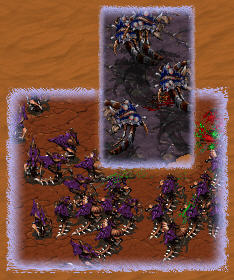 Just when it appears to be over JPaikman warps 12 hydralisks in from out of his ass.