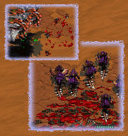 Hydralisks RULE!