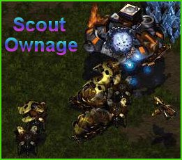 Scout owns, no doubt 'bout that