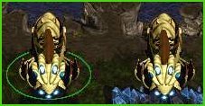 Carrier=n00b unit