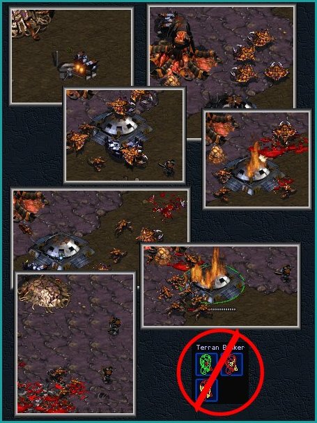 How bunkers are ruining Battle.net.