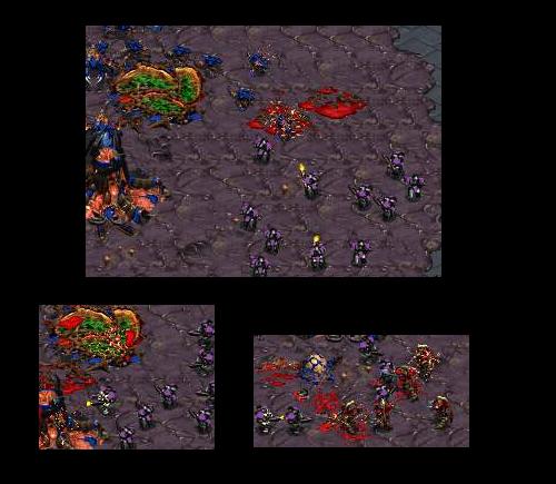 *conversation between ZerG~LinG and toss user* Zerg: so what do you usally do in a PvZ? Toss user: Hmmmm, lose mostly