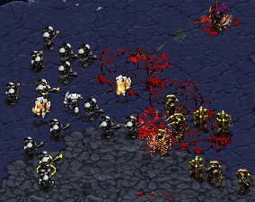 It would take Ice and Whoop to make lurker/templar get beat by marines.