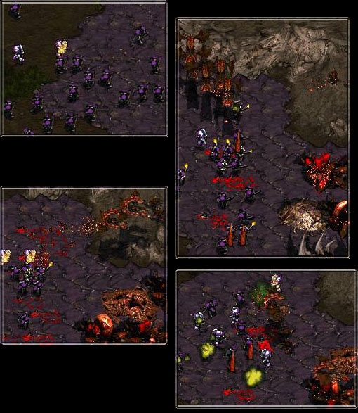 sooooooooo many rines
