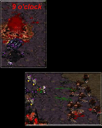 If only hydras were faster...