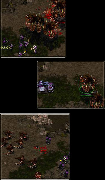 Note to self: marines own hydras when dropped 3 at a time