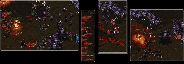 that's alot of dead hydras