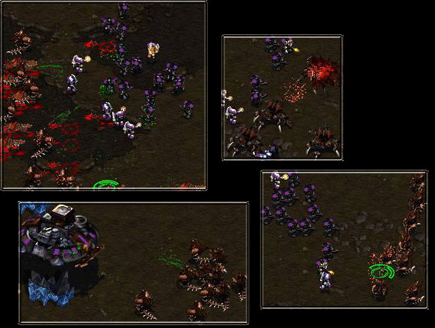 Those hydras got themselves in quite a predicament