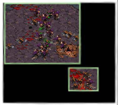 Sabotage_ uses his Burrow skill wisely. They unburrowed right on the Hydralsik, and they died.